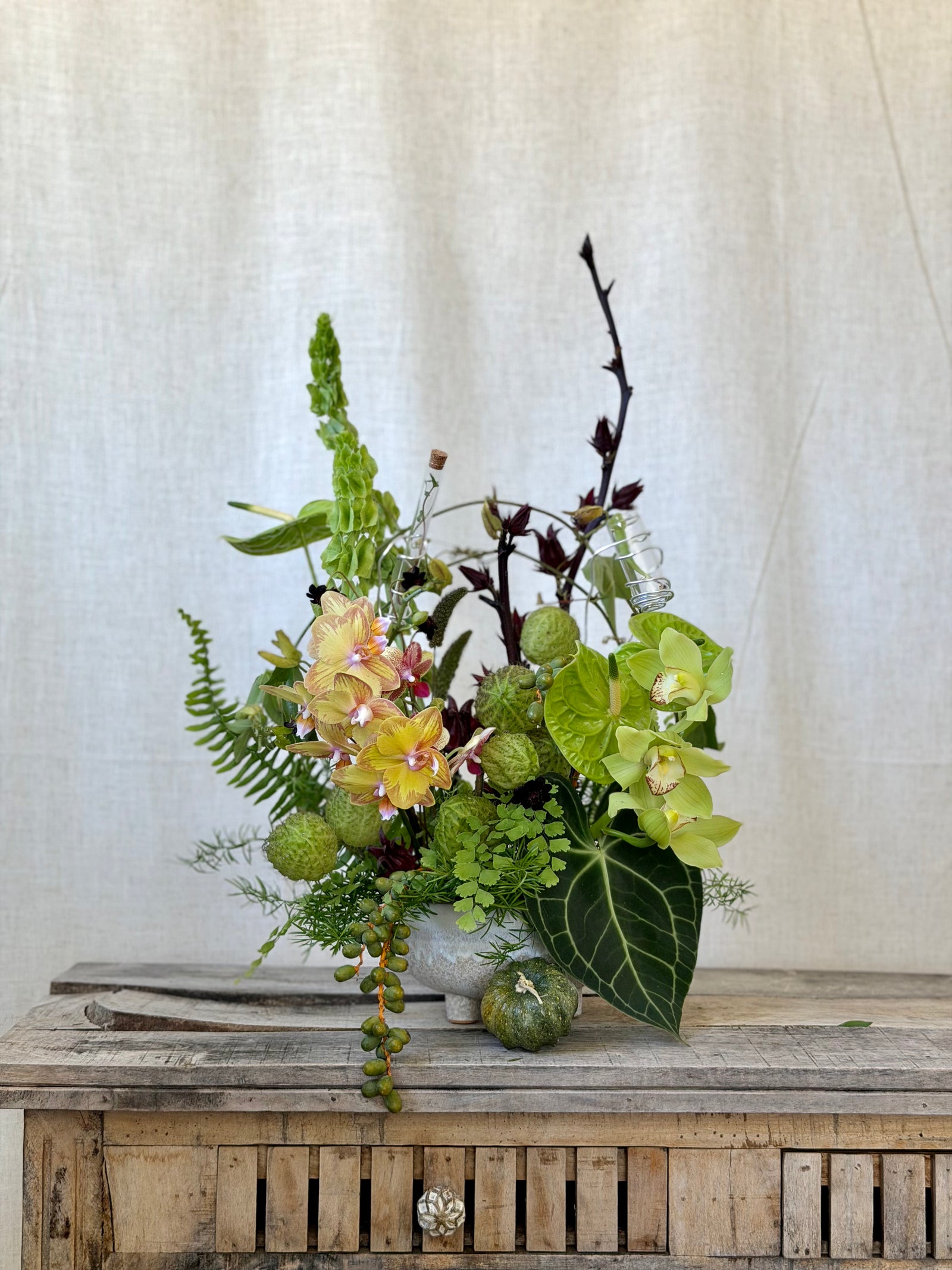 Fairy Garden