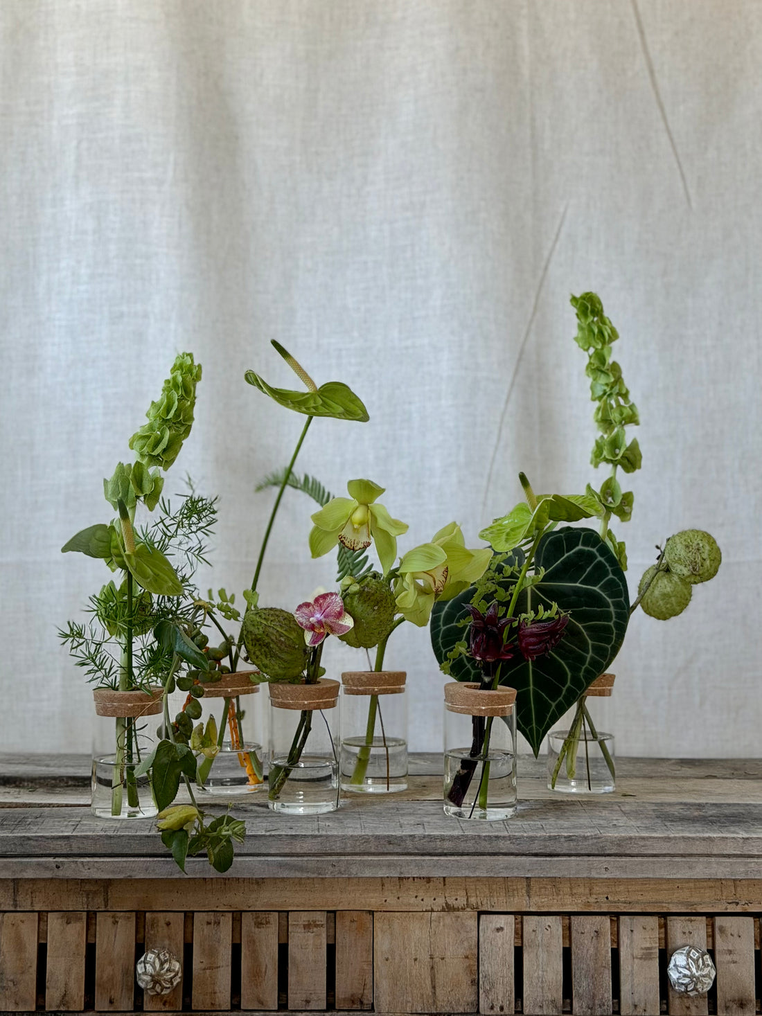 Botanical Bud Vases